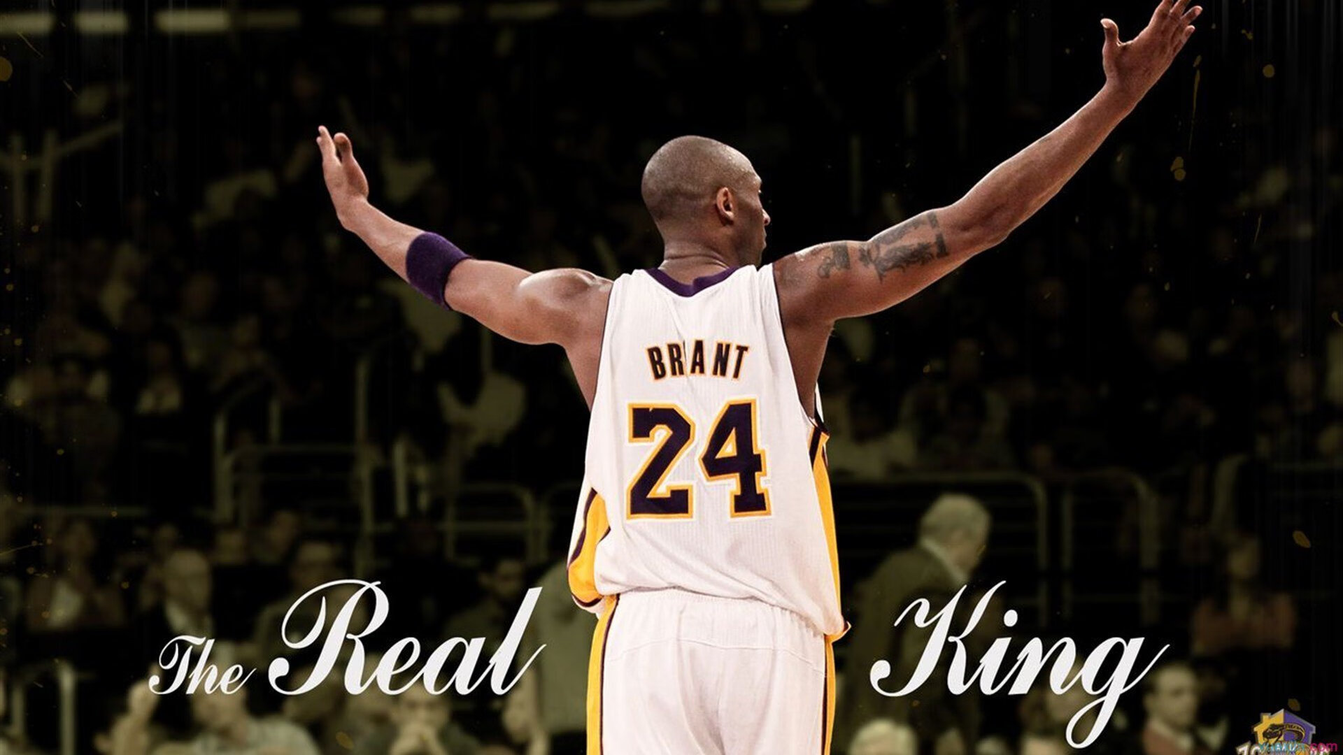 从温网到美网，西西帕斯的硬地蜕变与高光鏖战